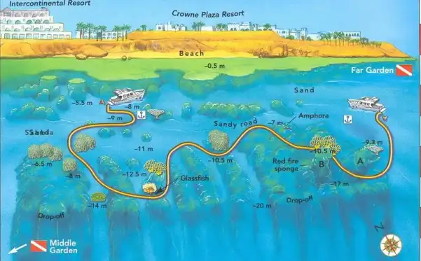 Рифы Garden Reefs, бухта Pasha Bay